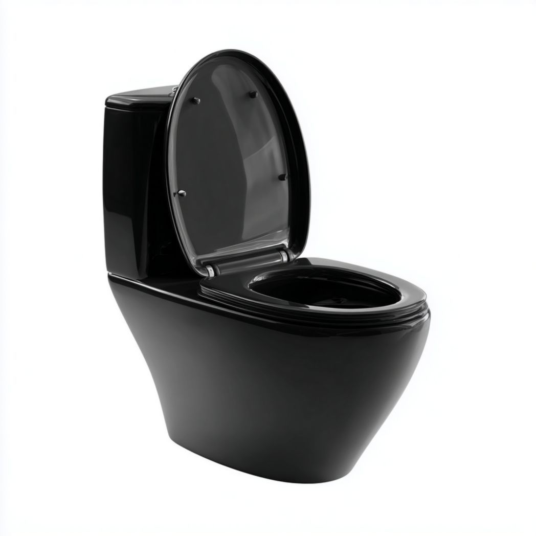 Toilette en céramique noire au sol avec abattant