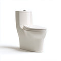 Toilette monobloc en céramique blanche avec réservoir intégré